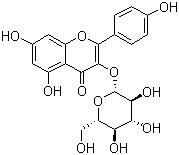 紫云英苷｜CAS號：480-10-4的結構式